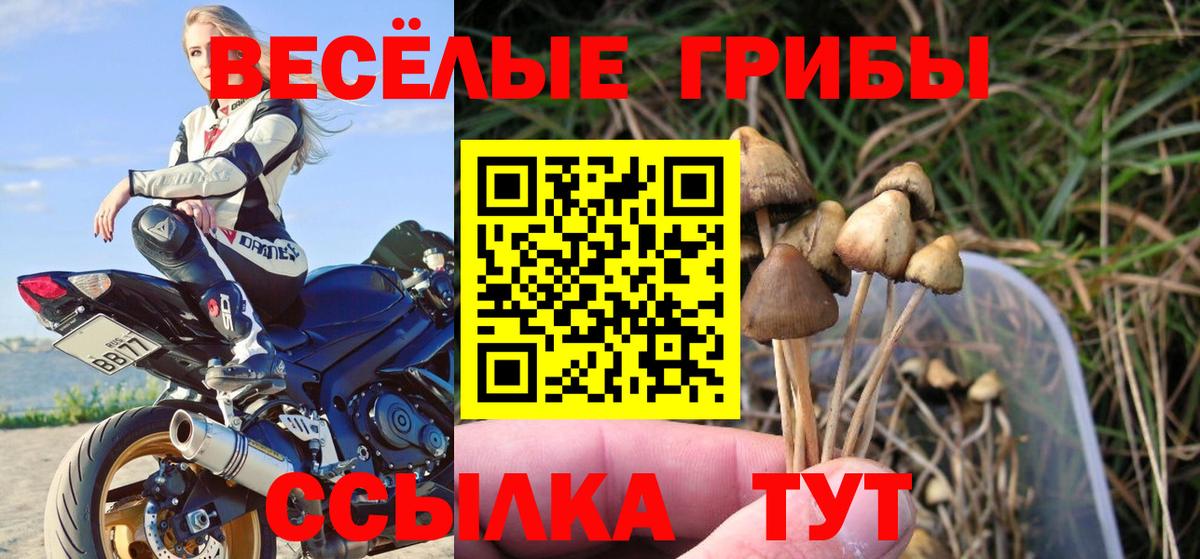Псилоцибиновые грибы Magic Shrooms  Вход с VPN  Ленинск-Кузнецкий 