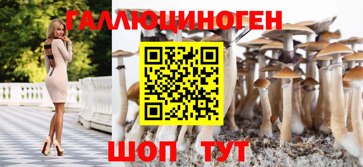 Псилоцибиновые грибы мухоморы Ленинск-Кузнецкий