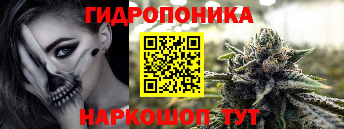 Каннабис планчик Ленинск-Кузнецкий